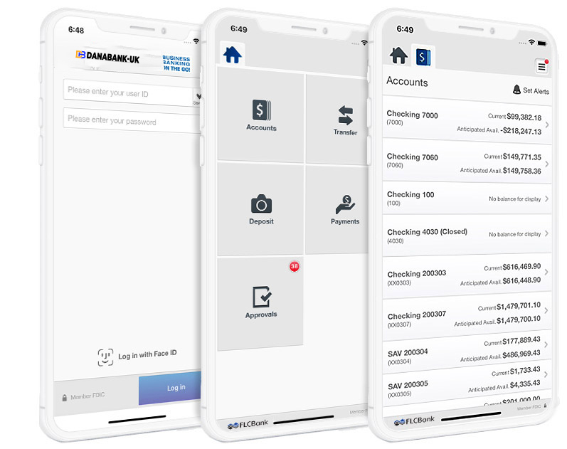Online Banking App on Phone